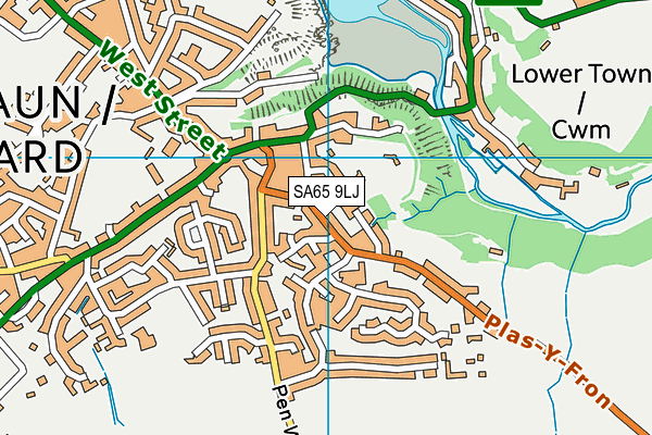 SA65 9LJ map - OS VectorMap District (Ordnance Survey)