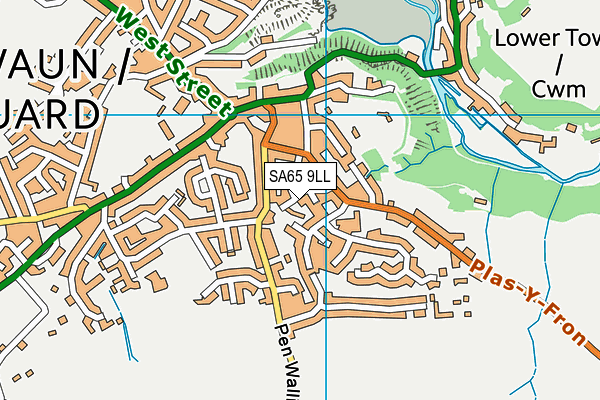 SA65 9LL map - OS VectorMap District (Ordnance Survey)