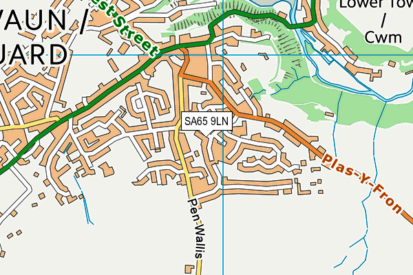 SA65 9LN map - OS VectorMap District (Ordnance Survey)