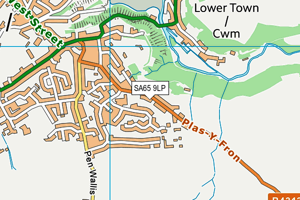 SA65 9LP map - OS VectorMap District (Ordnance Survey)