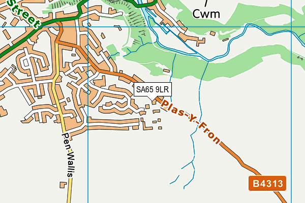 SA65 9LR map - OS VectorMap District (Ordnance Survey)