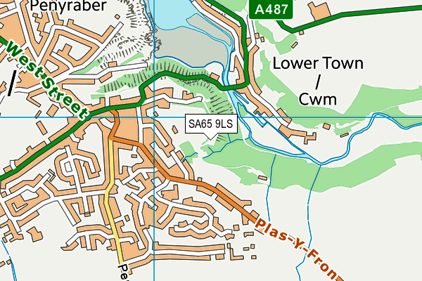 SA65 9LS map - OS VectorMap District (Ordnance Survey)