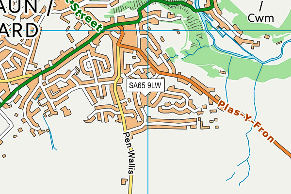 SA65 9LW map - OS VectorMap District (Ordnance Survey)