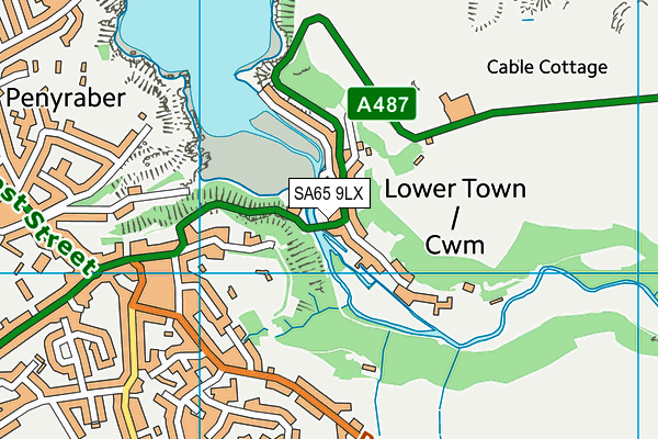 SA65 9LX map - OS VectorMap District (Ordnance Survey)