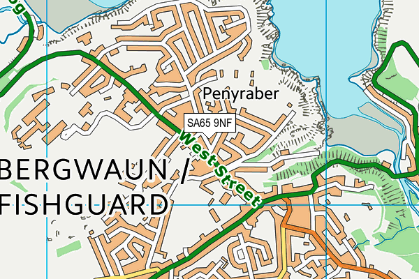 SA65 9NF map - OS VectorMap District (Ordnance Survey)