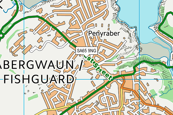 SA65 9NG map - OS VectorMap District (Ordnance Survey)