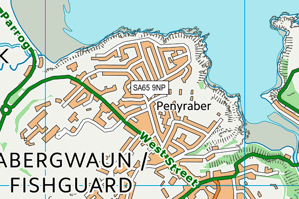 SA65 9NP map - OS VectorMap District (Ordnance Survey)