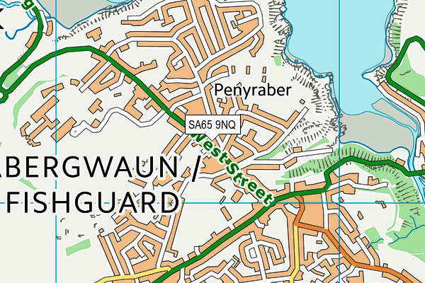 SA65 9NQ map - OS VectorMap District (Ordnance Survey)