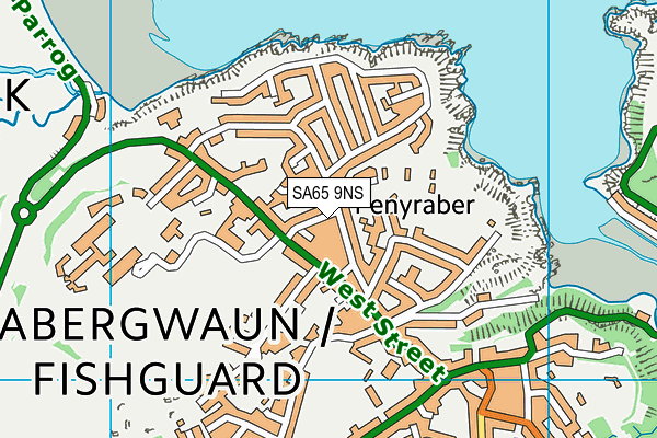 SA65 9NS map - OS VectorMap District (Ordnance Survey)