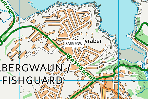 SA65 9NW map - OS VectorMap District (Ordnance Survey)