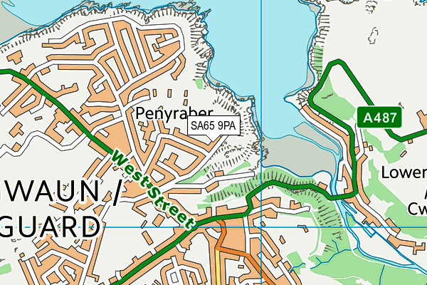 SA65 9PA map - OS VectorMap District (Ordnance Survey)