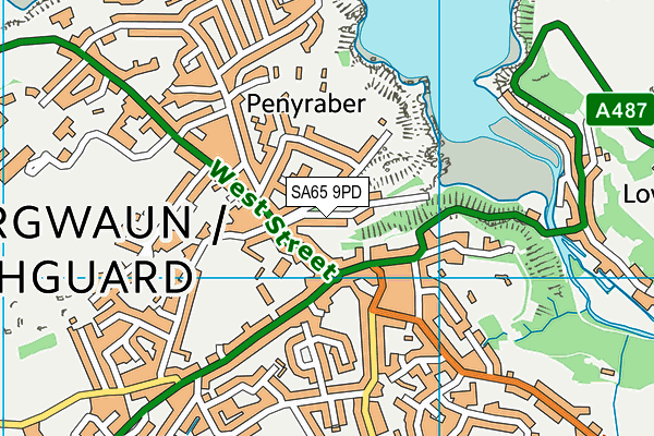 SA65 9PD map - OS VectorMap District (Ordnance Survey)