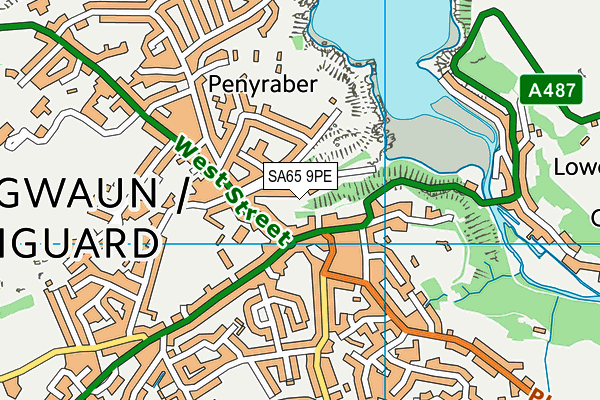 SA65 9PE map - OS VectorMap District (Ordnance Survey)