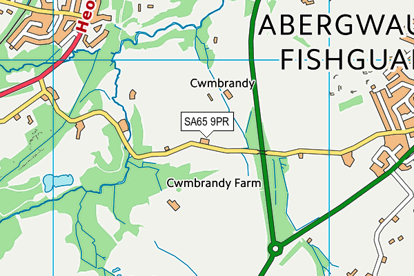 SA65 9PR map - OS VectorMap District (Ordnance Survey)