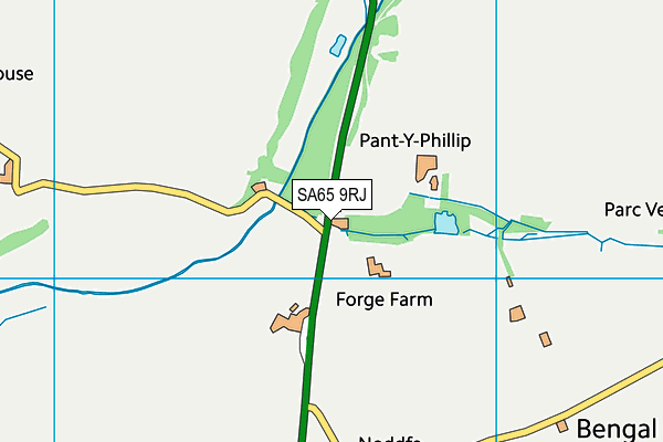 SA65 9RJ map - OS VectorMap District (Ordnance Survey)