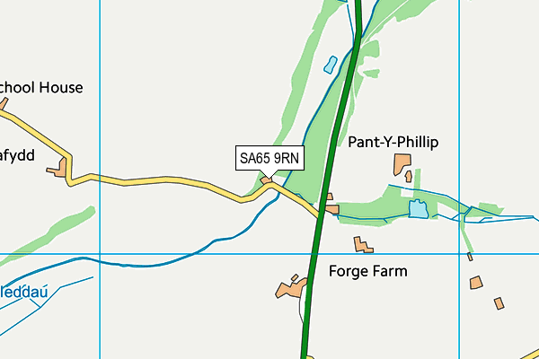 SA65 9RN map - OS VectorMap District (Ordnance Survey)