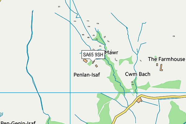 SA65 9SH map - OS VectorMap District (Ordnance Survey)