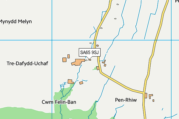 SA65 9SJ map - OS VectorMap District (Ordnance Survey)