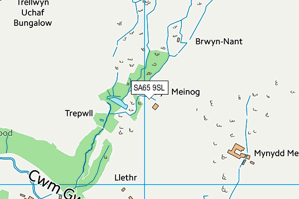 SA65 9SL map - OS VectorMap District (Ordnance Survey)