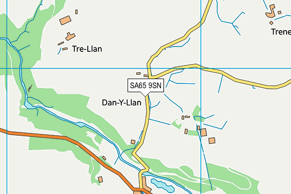 SA65 9SN map - OS VectorMap District (Ordnance Survey)