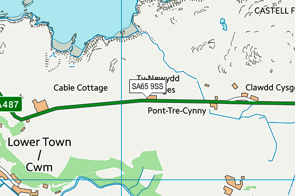 SA65 9SS map - OS VectorMap District (Ordnance Survey)