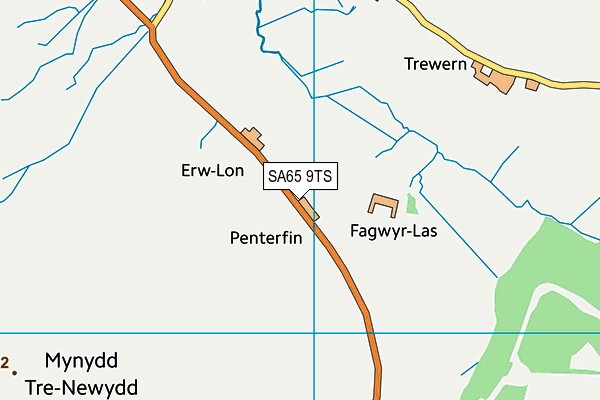 SA65 9TS map - OS VectorMap District (Ordnance Survey)