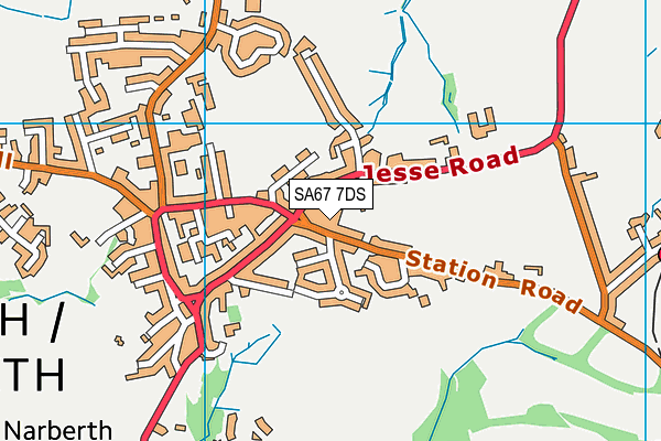 SA67 7DS map - OS VectorMap District (Ordnance Survey)