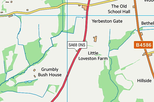 SA68 0NS map - OS VectorMap District (Ordnance Survey)