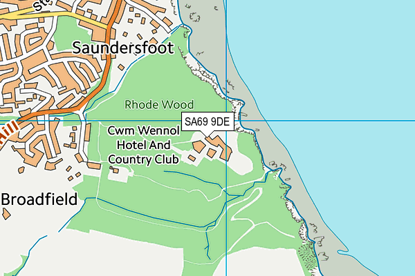 SA69 9DE map - OS VectorMap District (Ordnance Survey)