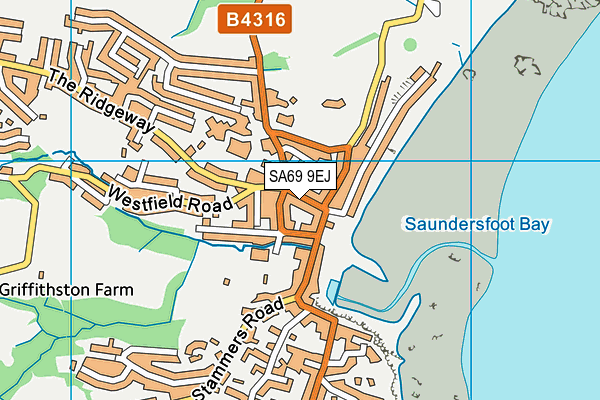 SA69 9EJ map - OS VectorMap District (Ordnance Survey)