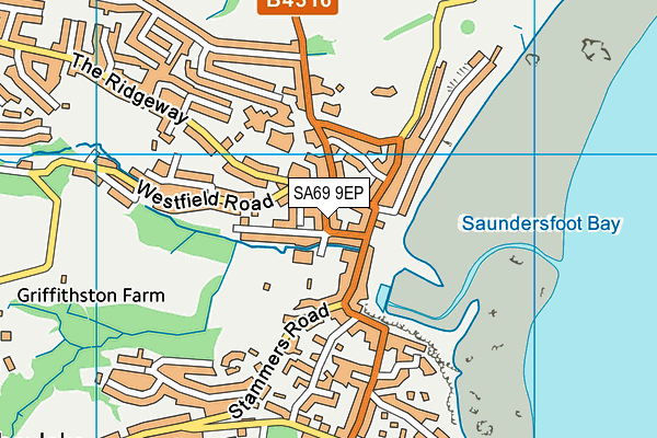SA69 9EP map - OS VectorMap District (Ordnance Survey)