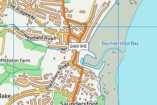 SA69 9HE map - OS VectorMap District (Ordnance Survey)