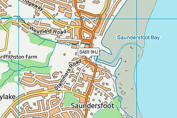 SA69 9HJ map - OS VectorMap District (Ordnance Survey)