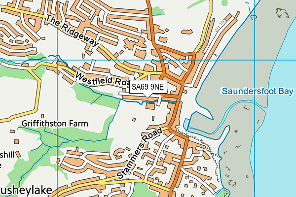 SA69 9NE map - OS VectorMap District (Ordnance Survey)