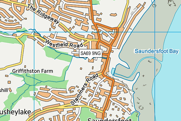 SA69 9NG map - OS VectorMap District (Ordnance Survey)