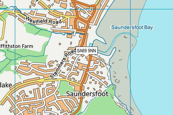 SA69 9NN map - OS VectorMap District (Ordnance Survey)