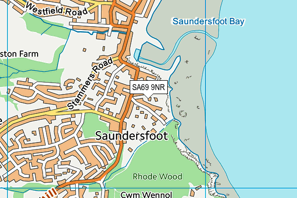 SA69 9NR map - OS VectorMap District (Ordnance Survey)