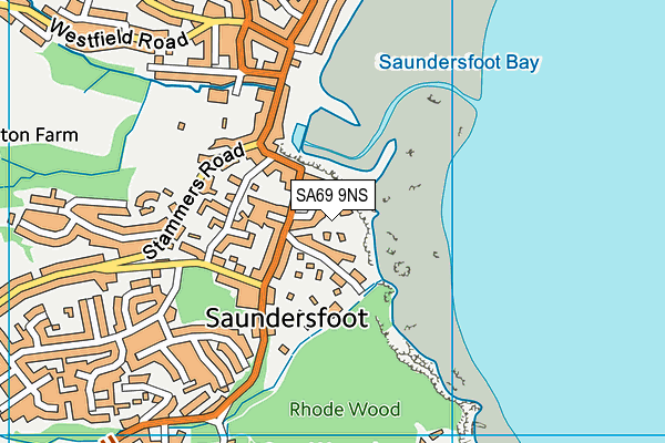 SA69 9NS map - OS VectorMap District (Ordnance Survey)