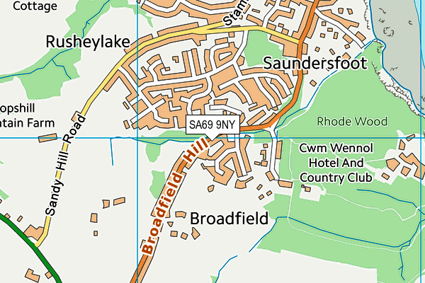 SA69 9NY map - OS VectorMap District (Ordnance Survey)