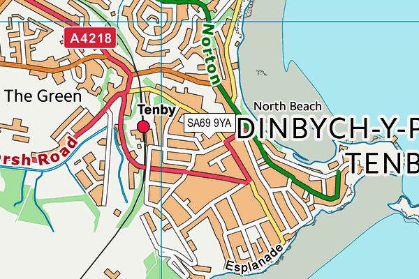 SA69 9YA map - OS VectorMap District (Ordnance Survey)