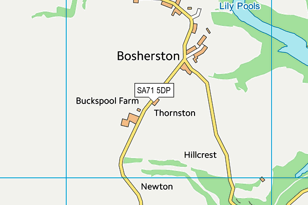 SA71 5DP map - OS VectorMap District (Ordnance Survey)