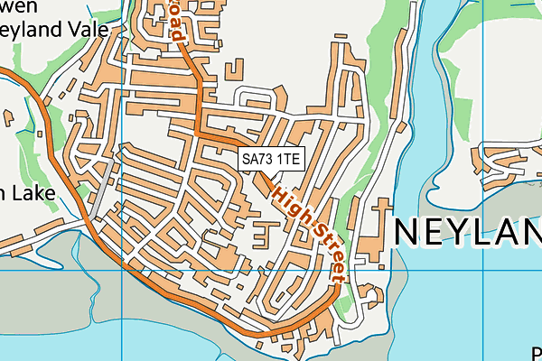 SA73 1TE map - OS VectorMap District (Ordnance Survey)