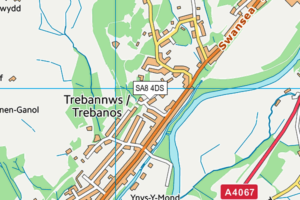 SA8 4DS map - OS VectorMap District (Ordnance Survey)