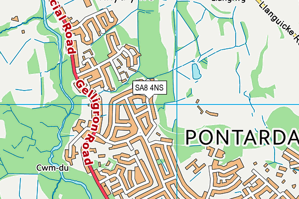 SA8 4NS map - OS VectorMap District (Ordnance Survey)