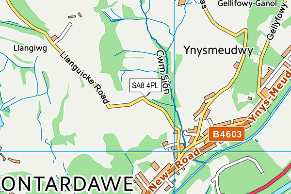 SA8 4PL map - OS VectorMap District (Ordnance Survey)