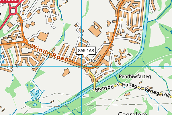 SA9 1AS map - OS VectorMap District (Ordnance Survey)