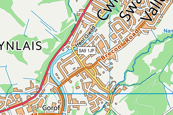 SA9 1JP map - OS VectorMap District (Ordnance Survey)