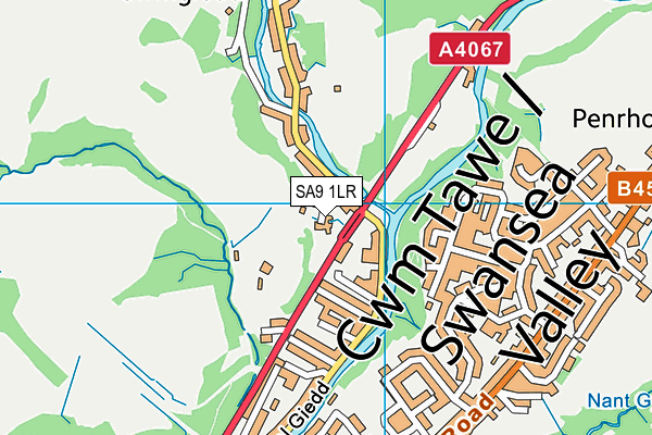 SA9 1LR map - OS VectorMap District (Ordnance Survey)