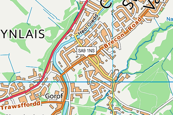 SA9 1NS map - OS VectorMap District (Ordnance Survey)