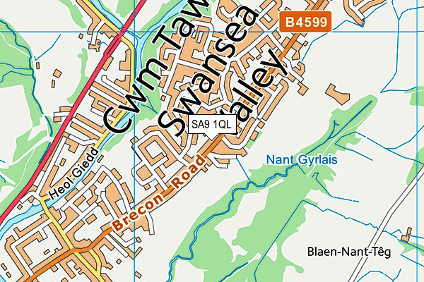 SA9 1QL map - OS VectorMap District (Ordnance Survey)